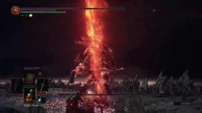 I dunno if this happened before but i kinda skipped soul of cinders second phase