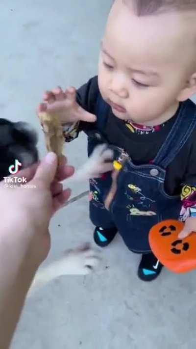 Gotta be quicker next time little buddy