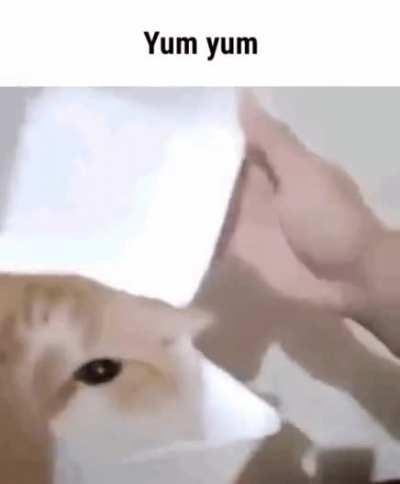 How covid started be like: