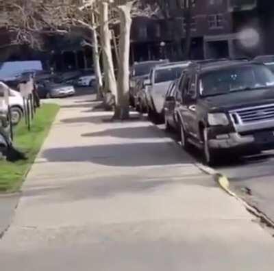 Football but with no equipment and your opponents are cars.