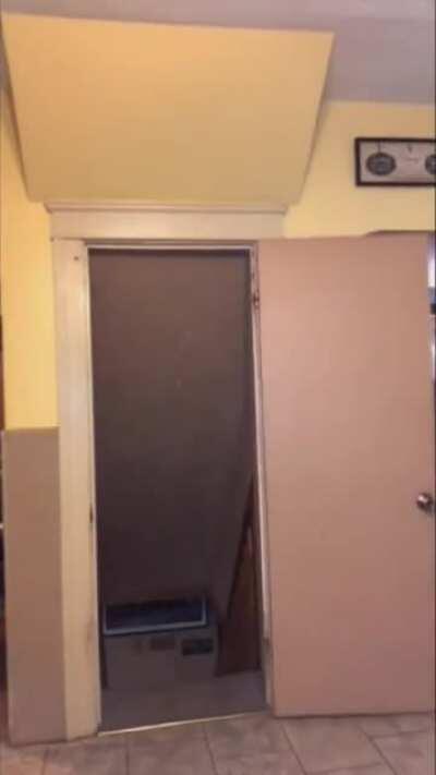 WCGW Trowing a weighted blanket on yourself