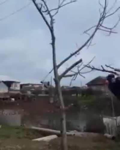 he cuts his own branch from under it