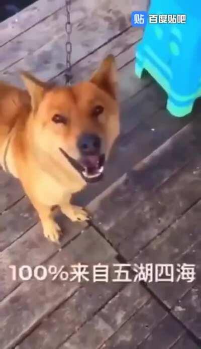 不要相信陌生人