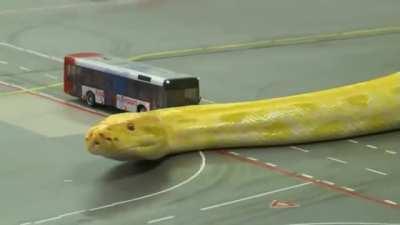 Traffic at the airport