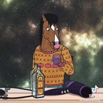 bojack horseman