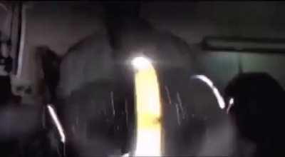 Remember Schrodinger's cat ? Guess who's this ?