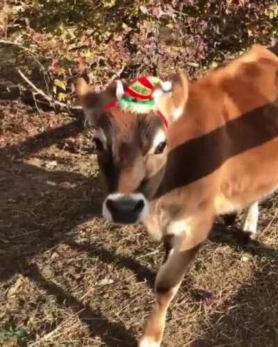 What a sweet baby.💗