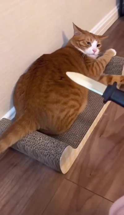 Best actor I've ever seen