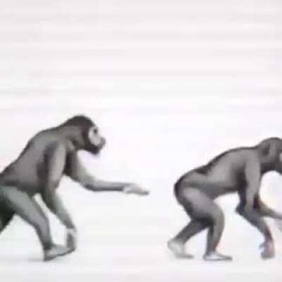 bastante obvio la verdad