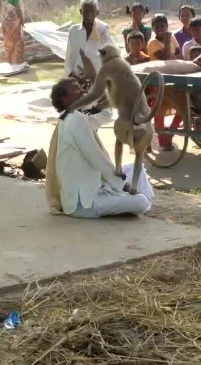 WCGW when you let a wild monkey sit on your lap