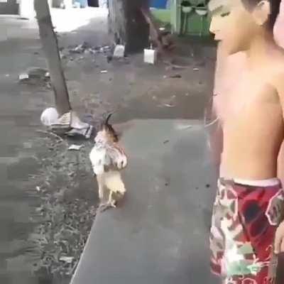 Eu não tenho medo de você!