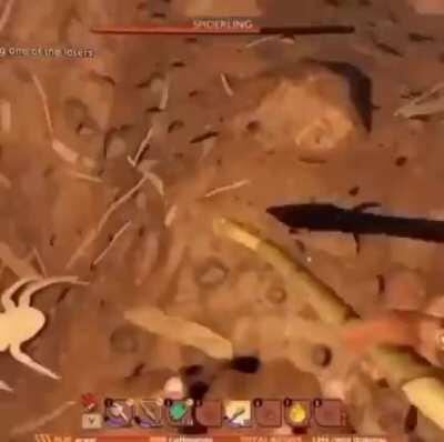 Thanks, I hate giant momma spider