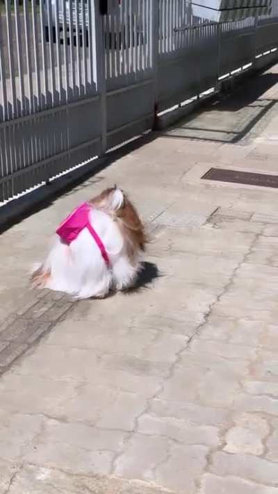 Back to school after a long break