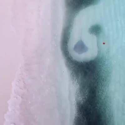 🔥 Me trying to talk to the ladies