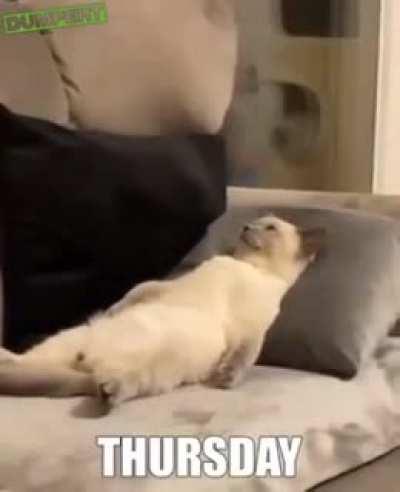 How I felt before dealing with the stock market and HODLing GME!!!