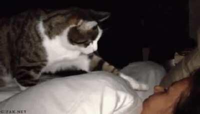 Mom, I missed the bus again