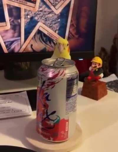 Did someone say party?