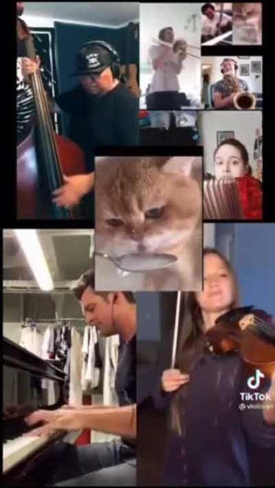 This genuinely slaps