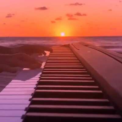 Você anda vendo muitos memes, descanse aqui meu amigo 😎🤜