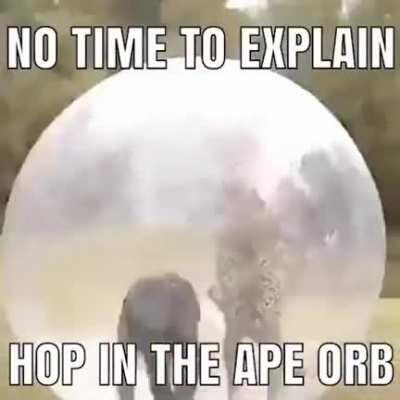 Rápido la evolución nos espera