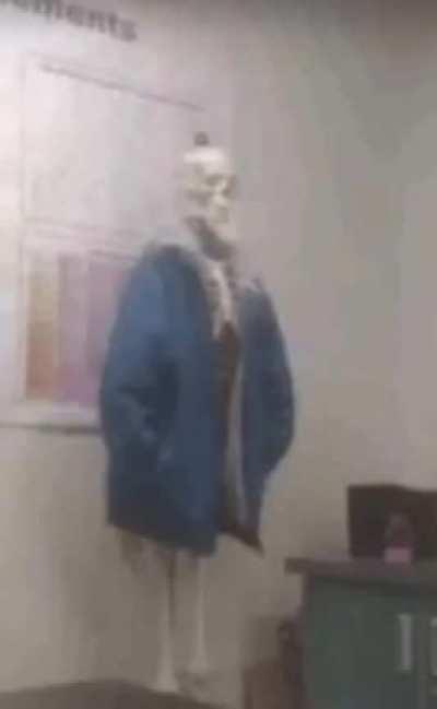 moldy sans
