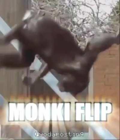 Monki flip