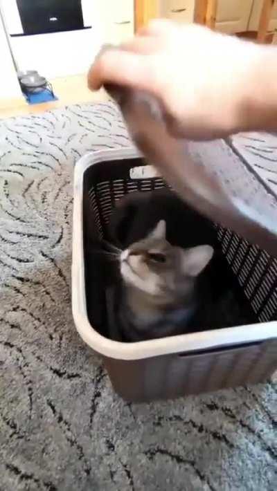 Monday again, no thanks😏