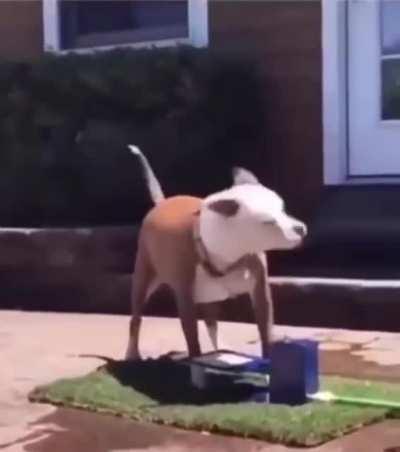 I just want some water