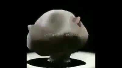 El viejas viendo todos los memes