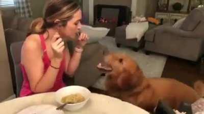 to recreate the scene from Lady and the Tramp