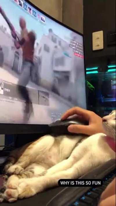 Purr fect mouse pad 🙀🙀🙀