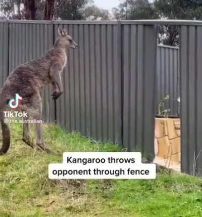 Oh shit, you good mate?