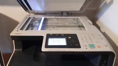 What did you think would happen?