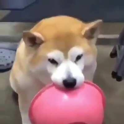 My friend just sent me this, everyone should see it too