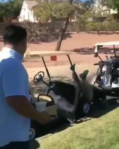 Jumping from Golf Cart..