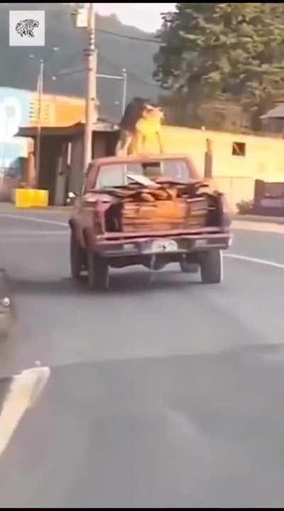 Massa presidente 2023, Argentina: