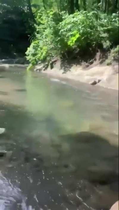 They added the sound and everything