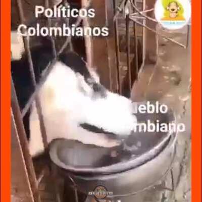 No todos pero la gran mayoría hace merito.