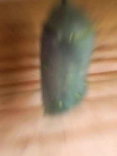 A natureza aprontando das suas 😆😂🤣