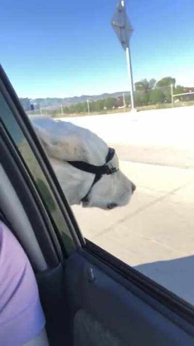 Smooth Sailin’ Sadie