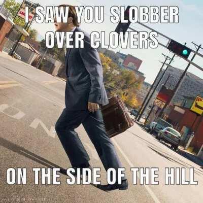 Sauler Of Everything