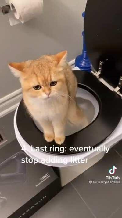 Хотите посмотреть, как мило котик срёт?