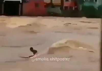 Já surfou na sua quebrada?