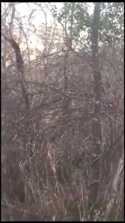 I feel like this would fit here.