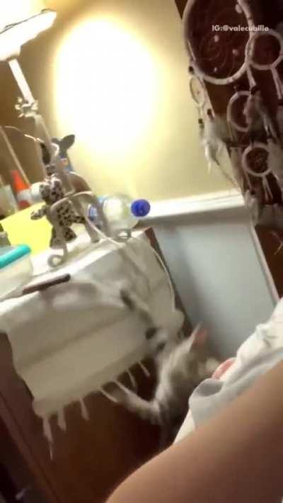 Quality time with the cat