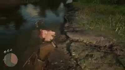 I got Lunch but i want dinner too