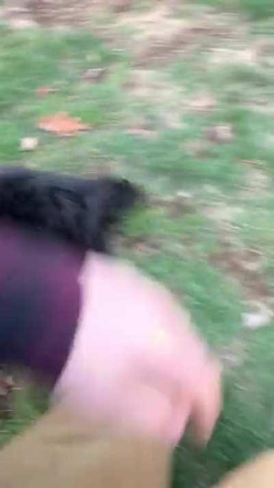 Crazy Ewok kills camera man