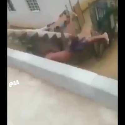 Yullalol - Video #6670