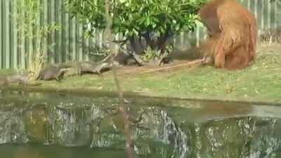 When those damn kids won't get off your lawn