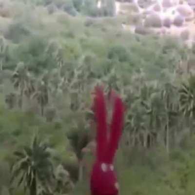 Por qué nadie habla de lo lindo que es Bodoque? Yo creo que está ufff